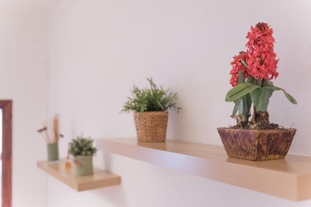 Sweet Bcn Studio With Terrace バルセロナ エクステリア 写真